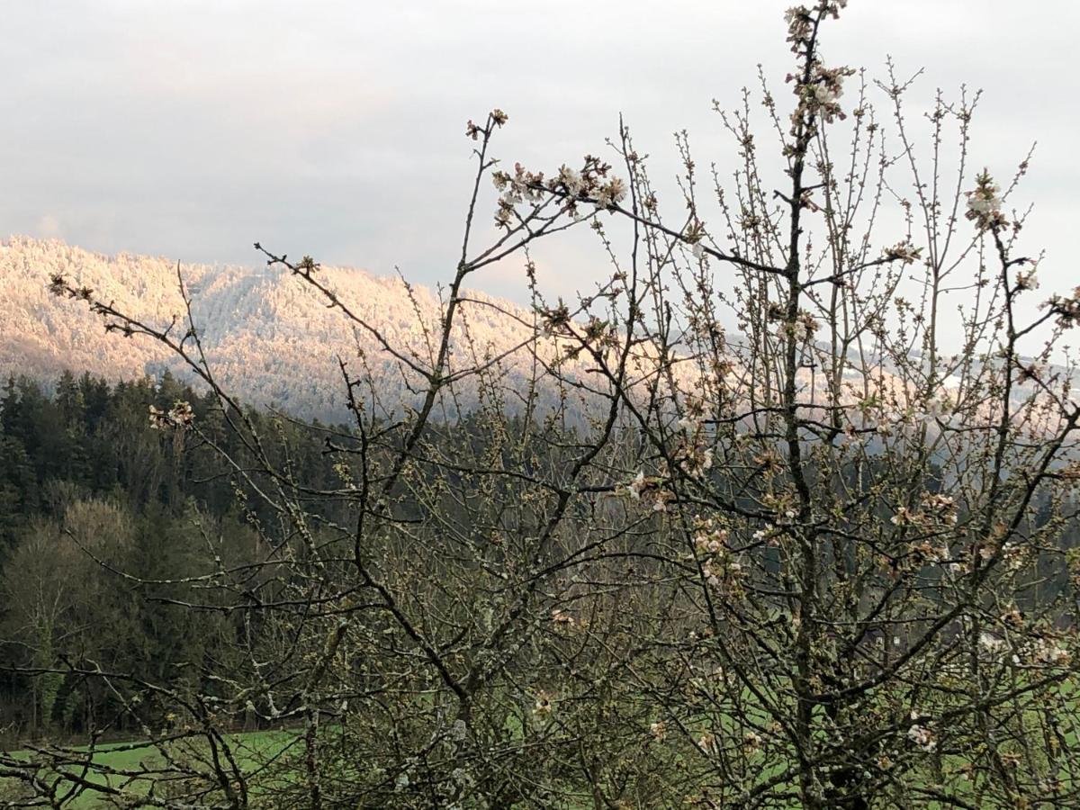 Ferienwohnung Samys Nahe Lindau Am Bodensee Sigmarszell Exteriör bild